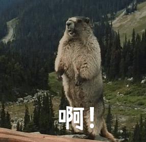 DƬ